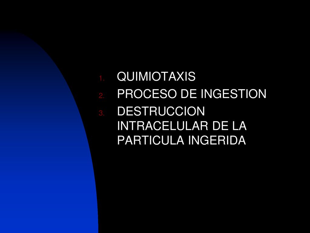 QUIMIOTAXIS PROCESO DE INGESTION DESTRUCCION INTRACELULAR DE LA PARTICULA INGERIDA