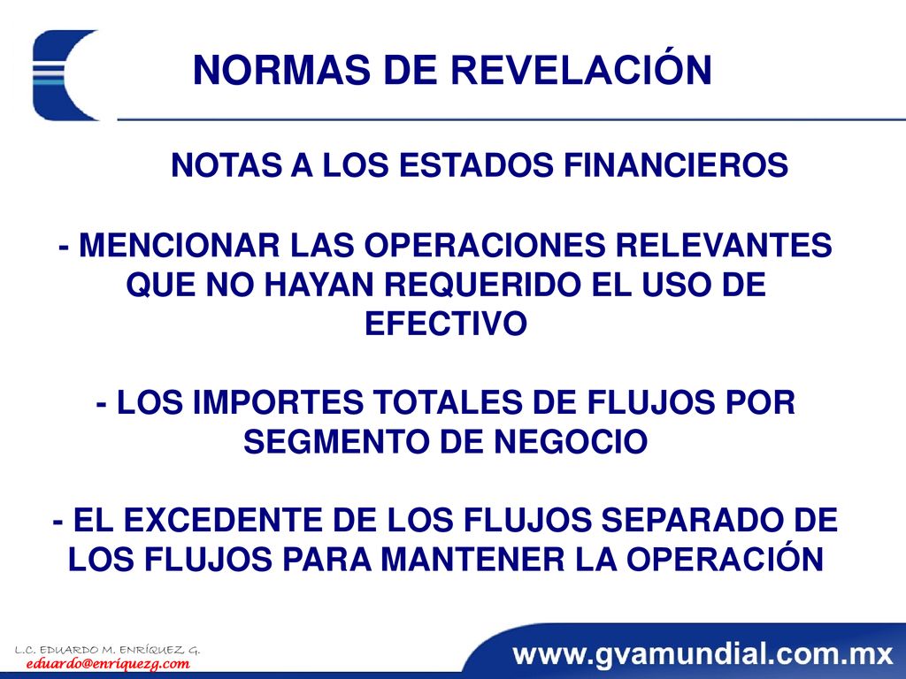 - LOS IMPORTES TOTALES DE FLUJOS POR SEGMENTO DE NEGOCIO