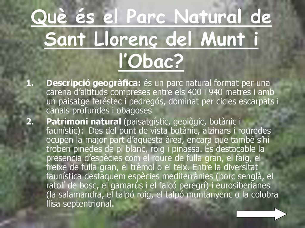 Què és el Parc Natural de Sant Llorenç del Munt i l’Obac