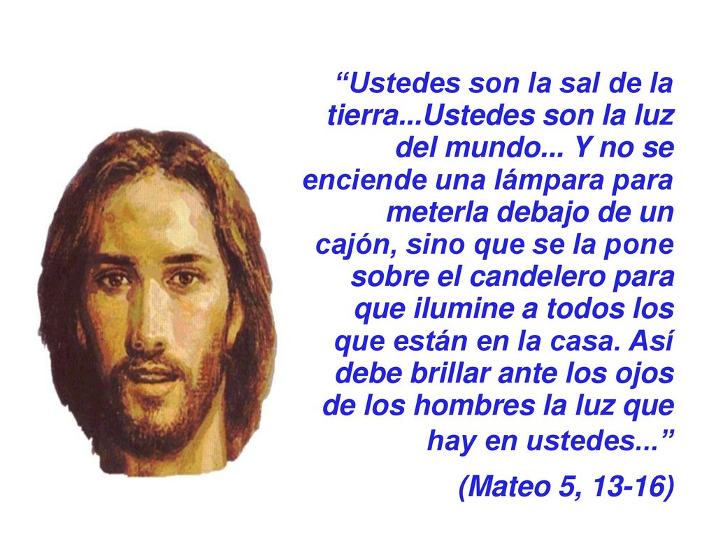 Ustedes son la sal de la tierra. Ustedes son la luz del mundo