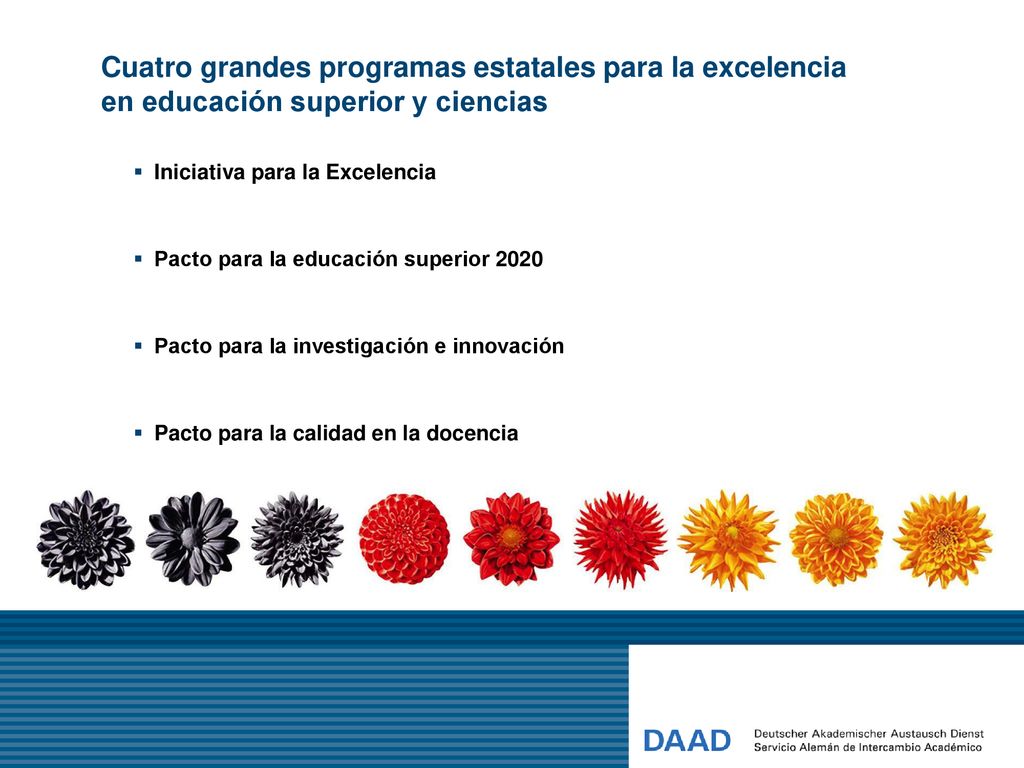 Cuatro grandes programas estatales para la excelencia en educación superior y ciencias
