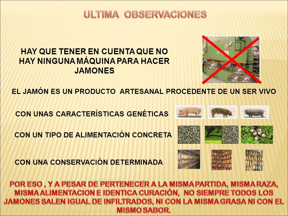 HAY QUE TENER EN CUENTA QUE NO HAY NINGUNA MÁQUINA PARA HACER JAMONES
