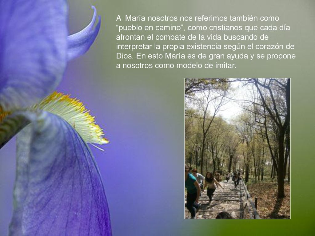 A María nosotros nos referimos también como pueblo en camino , como cristianos que cada día afrontan el combate de la vida buscando de interpretar la propia existencia según el corazón de Dios.