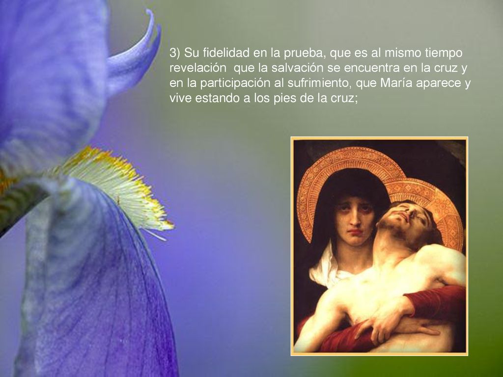 3) Su fidelidad en la prueba, que es al mismo tiempo revelación que la salvación se encuentra en la cruz y en la participación al sufrimiento, que María aparece y vive estando a los pies de la cruz;