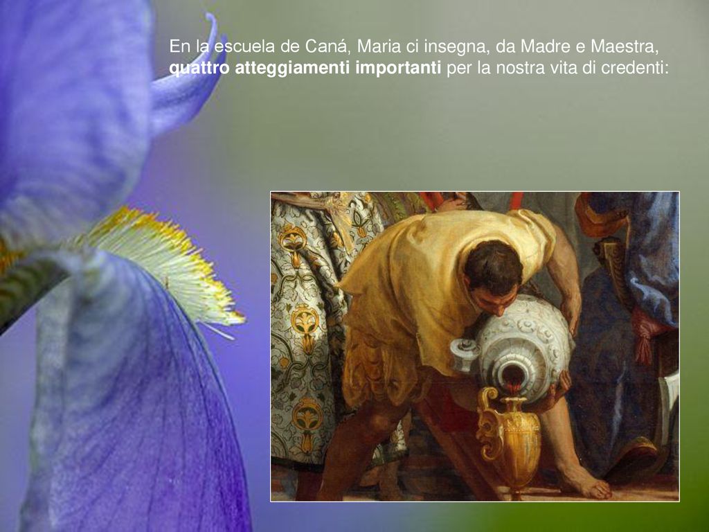 En la escuela de Caná, Maria ci insegna, da Madre e Maestra, quattro atteggiamenti importanti per la nostra vita di credenti: