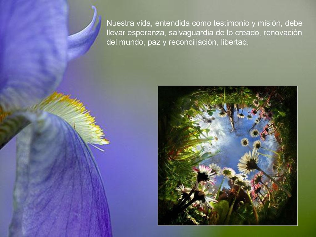 Nuestra vida, entendida como testimonio y misión, debe llevar esperanza, salvaguardia de lo creado, renovación del mundo, paz y reconciliación, libertad.