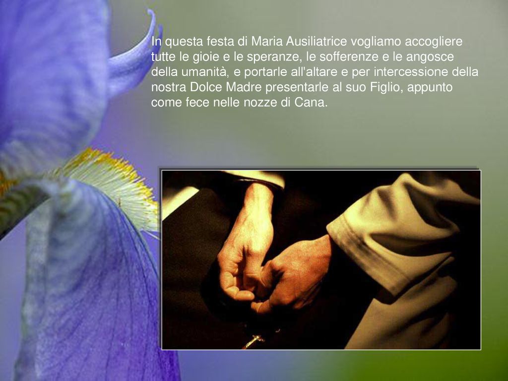 In questa festa di Maria Ausiliatrice vogliamo accogliere tutte le gioie e le speranze, le sofferenze e le angosce della umanità, e portarle all altare e per intercessione della nostra Dolce Madre presentarle al suo Figlio, appunto come fece nelle nozze di Cana.