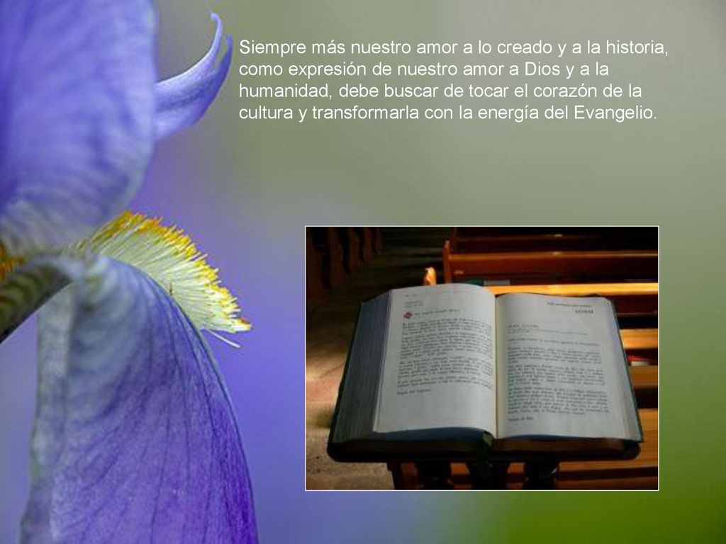 Siempre más nuestro amor a lo creado y a la historia, como expresión de nuestro amor a Dios y a la humanidad, debe buscar de tocar el corazón de la cultura y transformarla con la energía del Evangelio.