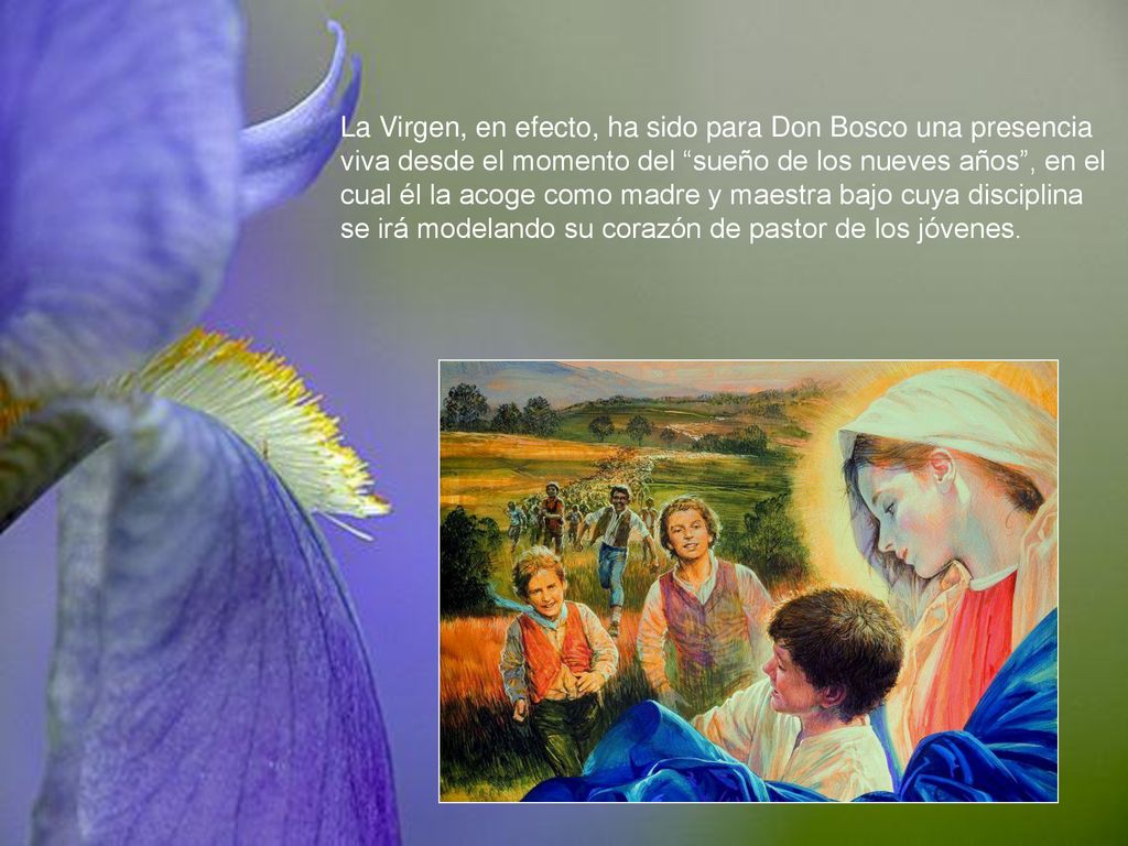 La Virgen, en efecto, ha sido para Don Bosco una presencia viva desde el momento del sueño de los nueves años , en el cual él la acoge como madre y maestra bajo cuya disciplina se irá modelando su corazón de pastor de los jóvenes.