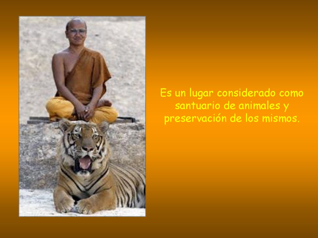 Es un lugar considerado como santuario de animales y preservación de los mismos.