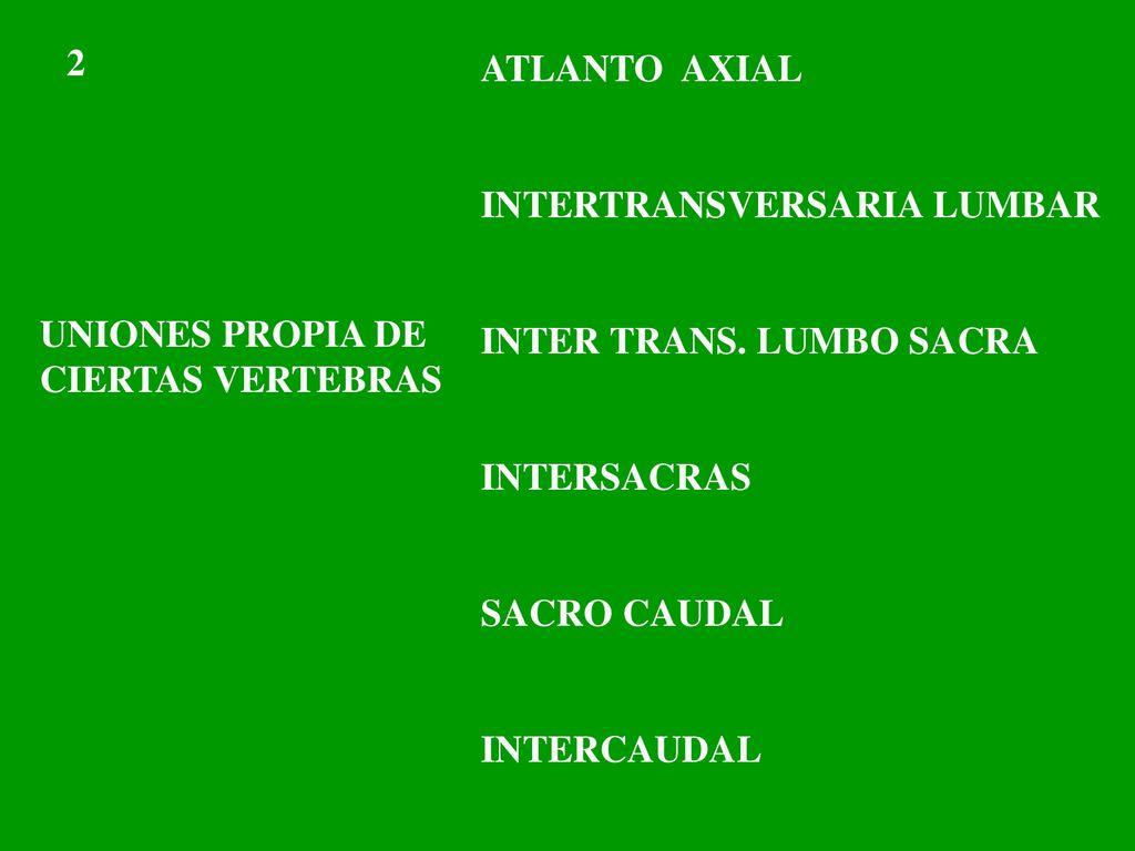 2 ATLANTO AXIAL. INTERTRANSVERSARIA LUMBAR. INTER TRANS. LUMBO SACRA. INTERSACRAS. SACRO CAUDAL.