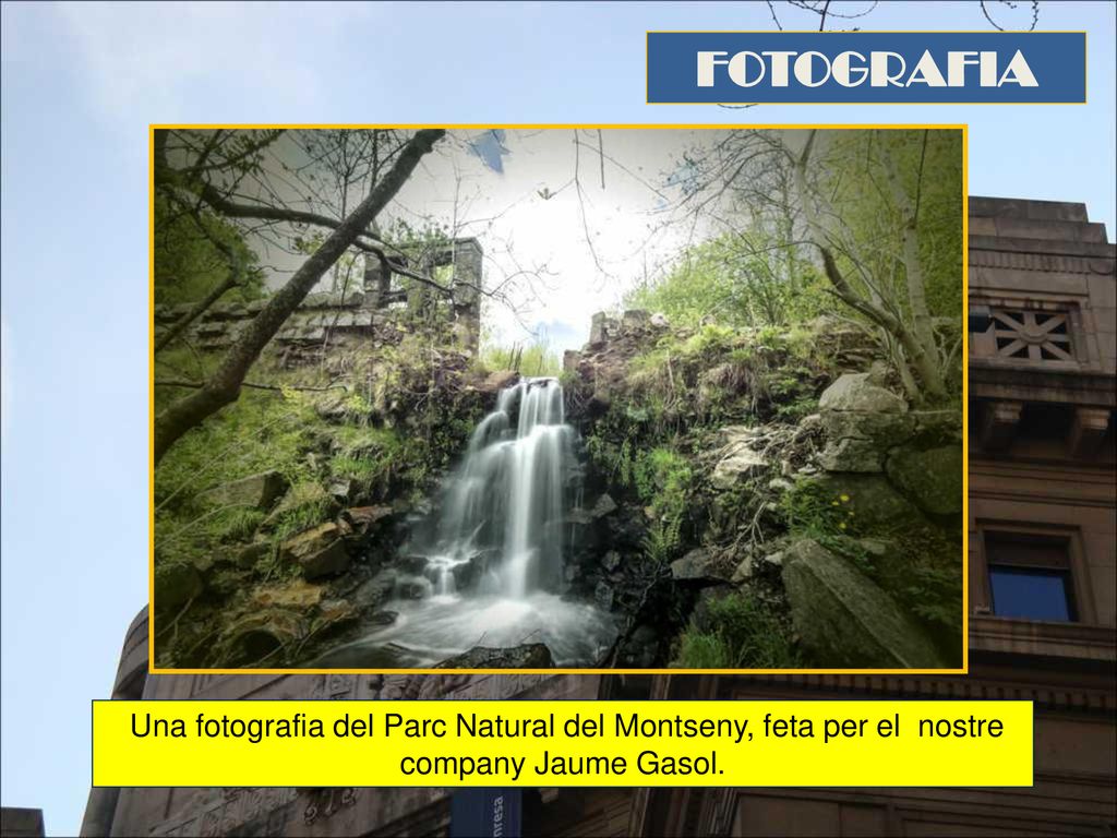 FOTOGRAFIA Una fotografia del Parc Natural del Montseny, feta per el nostre company Jaume Gasol.