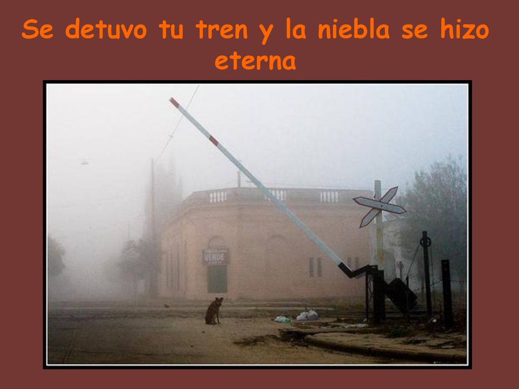 Se detuvo tu tren y la niebla se hizo eterna