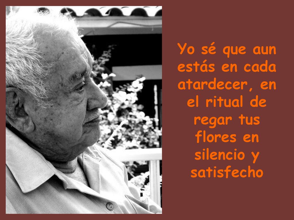 Yo sé que aun estás en cada atardecer, en el ritual de regar tus flores en silencio y satisfecho