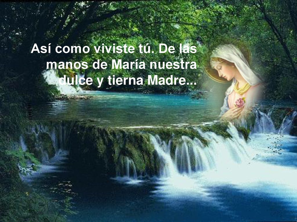 Así como viviste tú. De las manos de María nuestra dulce y tierna Madre...