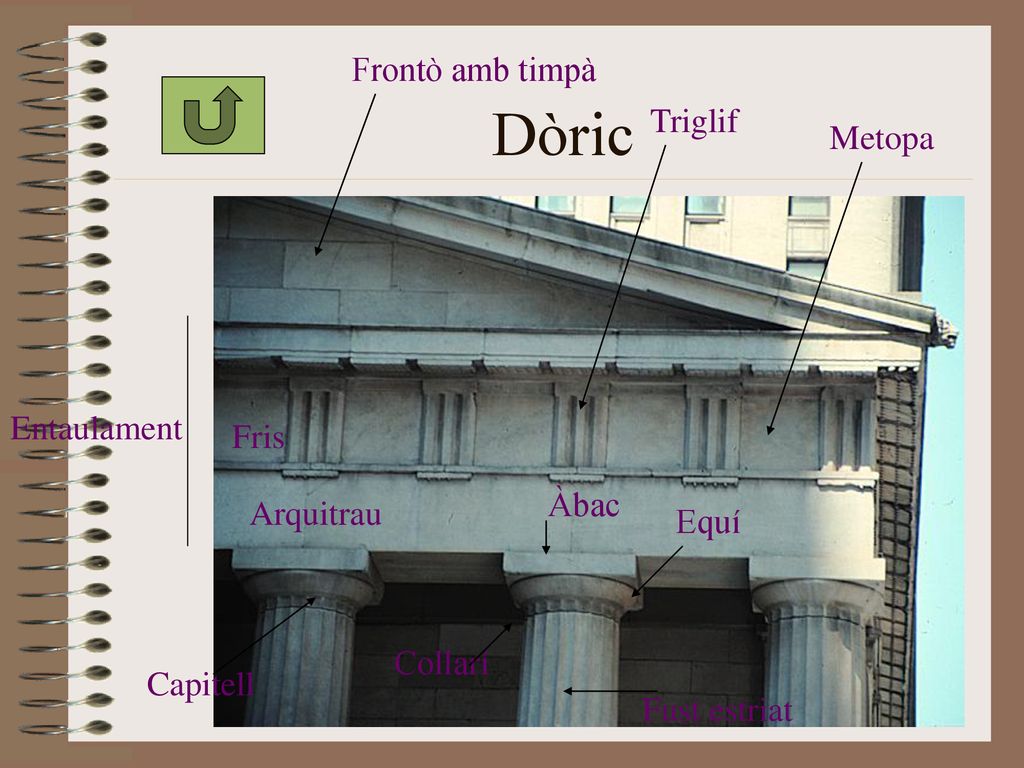 Dòric Frontò amb timpà Triglif Metopa Entaulament Fris Àbac Arquitrau