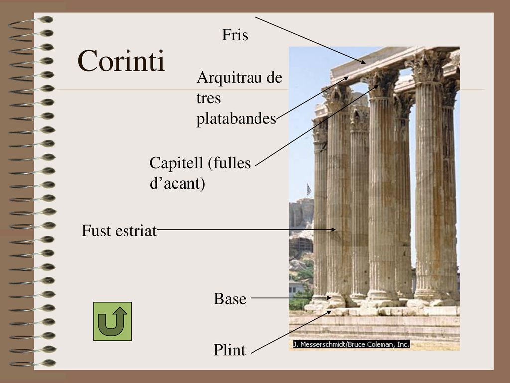 Corinti Fris Arquitrau de tres platabandes Capitell (fulles d’acant)