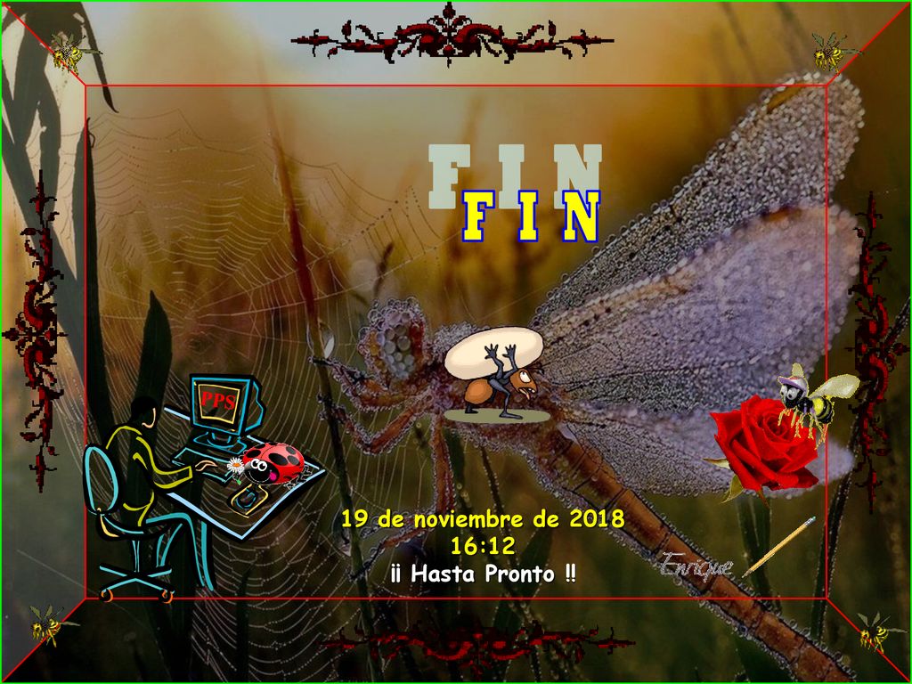 F I N PPS 19 de noviembre de :12 ¡¡ Hasta Pronto !! 9