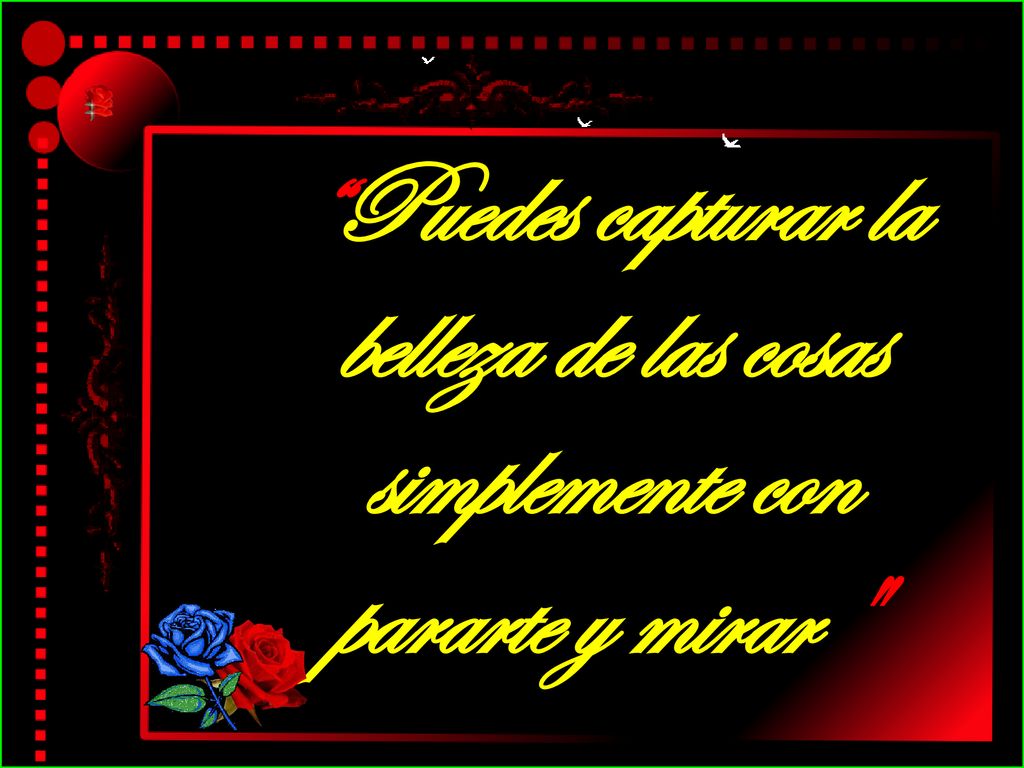 Puedes capturar la belleza de las cosas simplemente con pararte y mirar