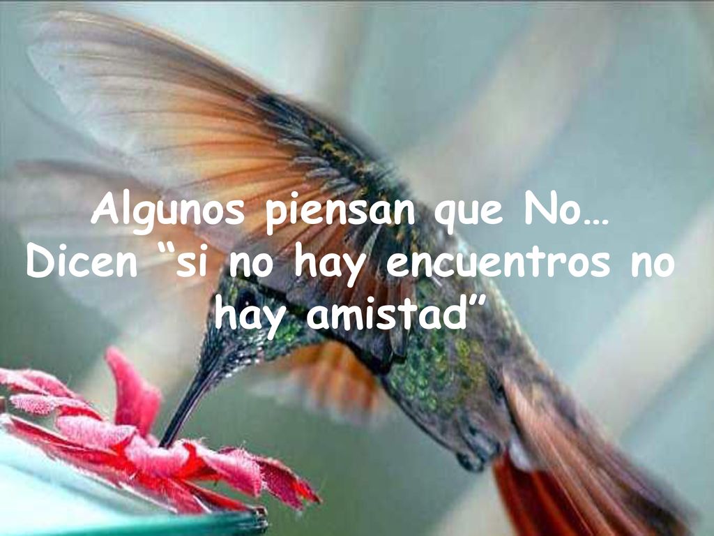 Algunos piensan que No… Dicen si no hay encuentros no hay amistad