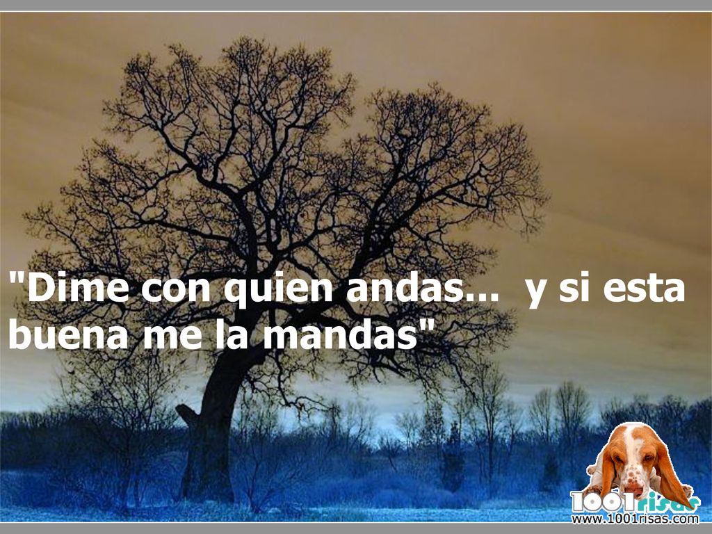 Dime con quien andas... y si esta buena me la mandas