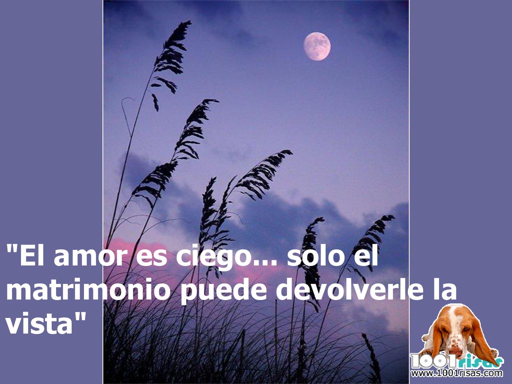 El amor es ciego... solo el matrimonio puede devolverle la vista