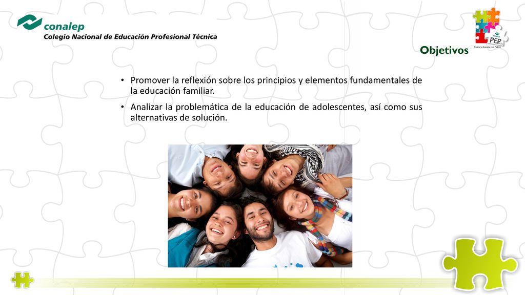 Objetivos Promover la reflexión sobre los principios y elementos fundamentales de la educación familiar.
