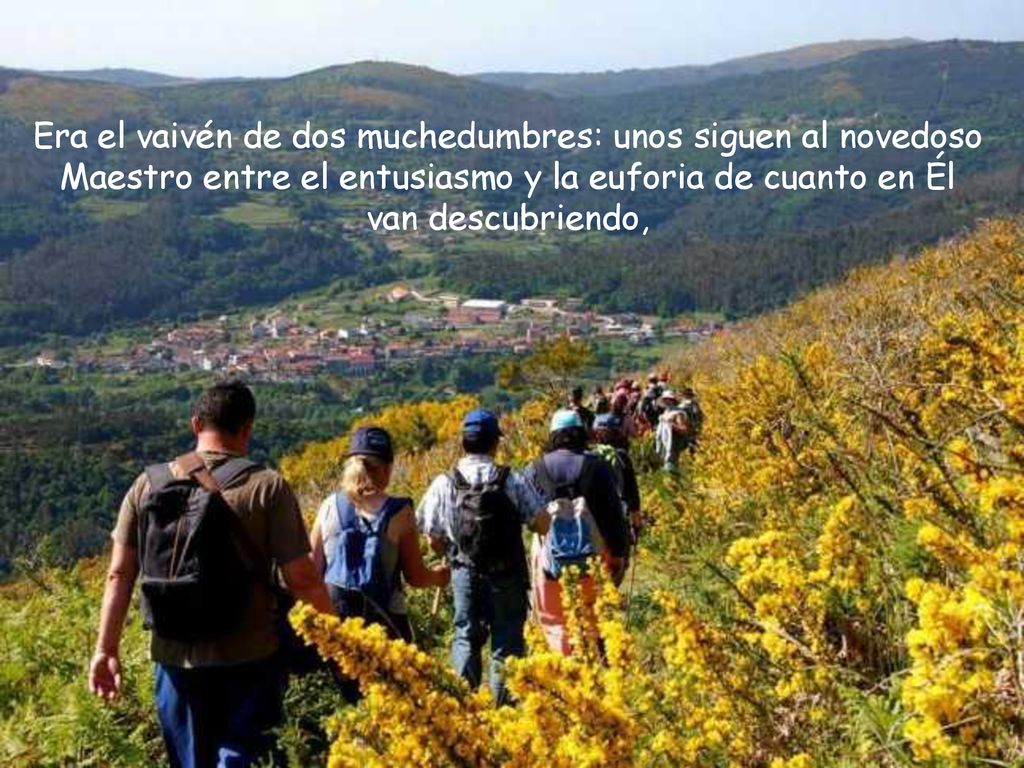 Era el vaivén de dos muchedumbres: unos siguen al novedoso Maestro entre el entusiasmo y la euforia de cuanto en Él van descubriendo,