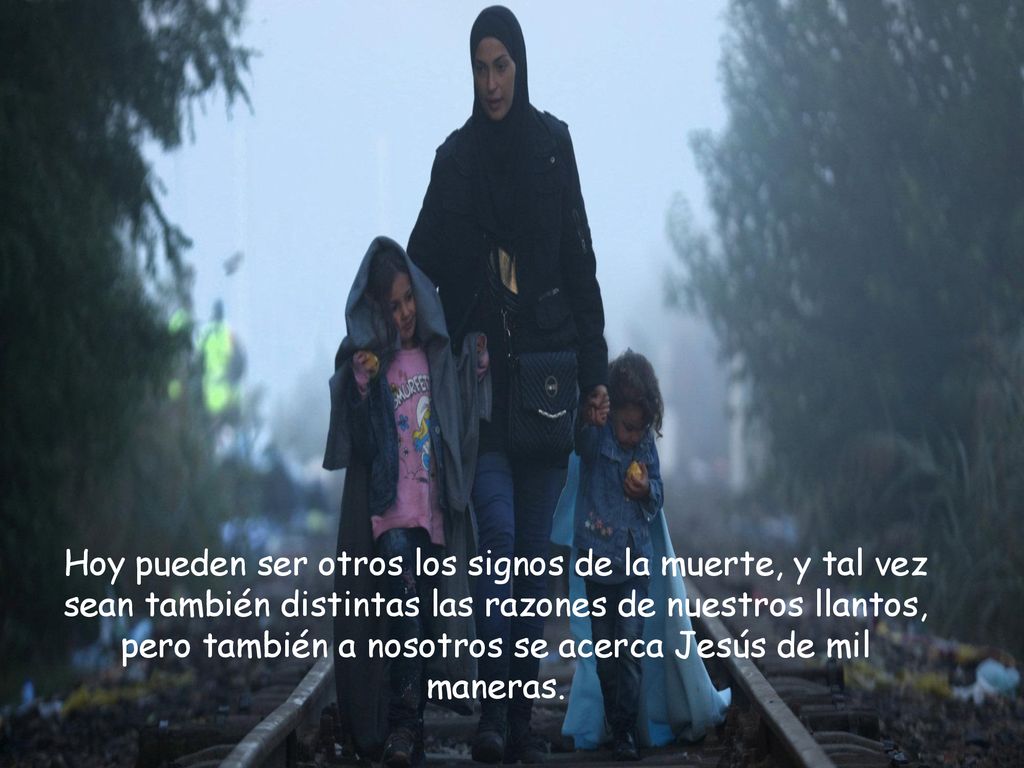 Hoy pueden ser otros los signos de la muerte, y tal vez sean también distintas las razones de nuestros llantos, pero también a nosotros se acerca Jesús de mil maneras.