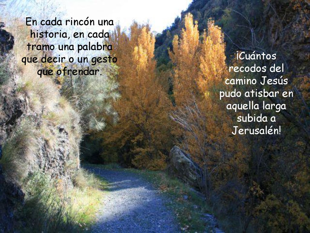 En cada rincón una historia, en cada tramo una palabra que decir o un gesto que ofrendar.