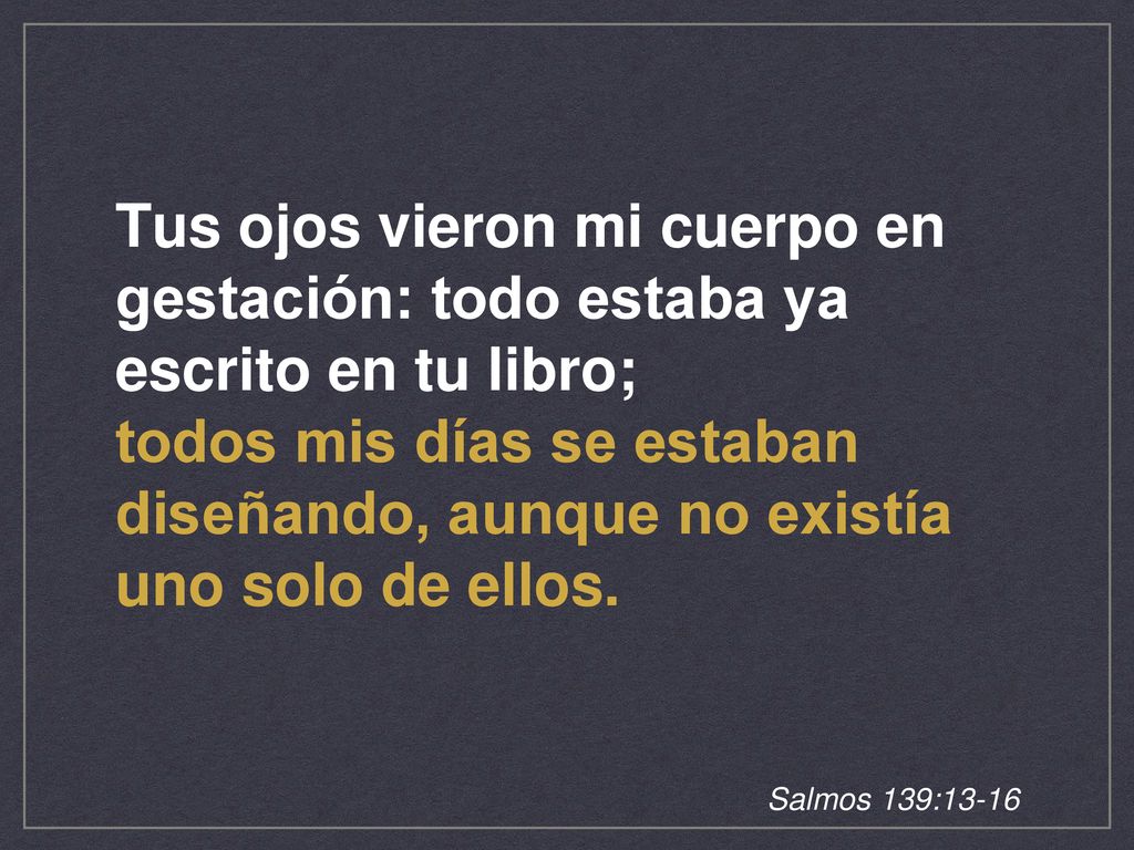 Tus ojos vieron mi cuerpo en gestación: todo estaba ya escrito en tu libro; todos mis días se estaban diseñando, aunque no existía uno solo de ellos.