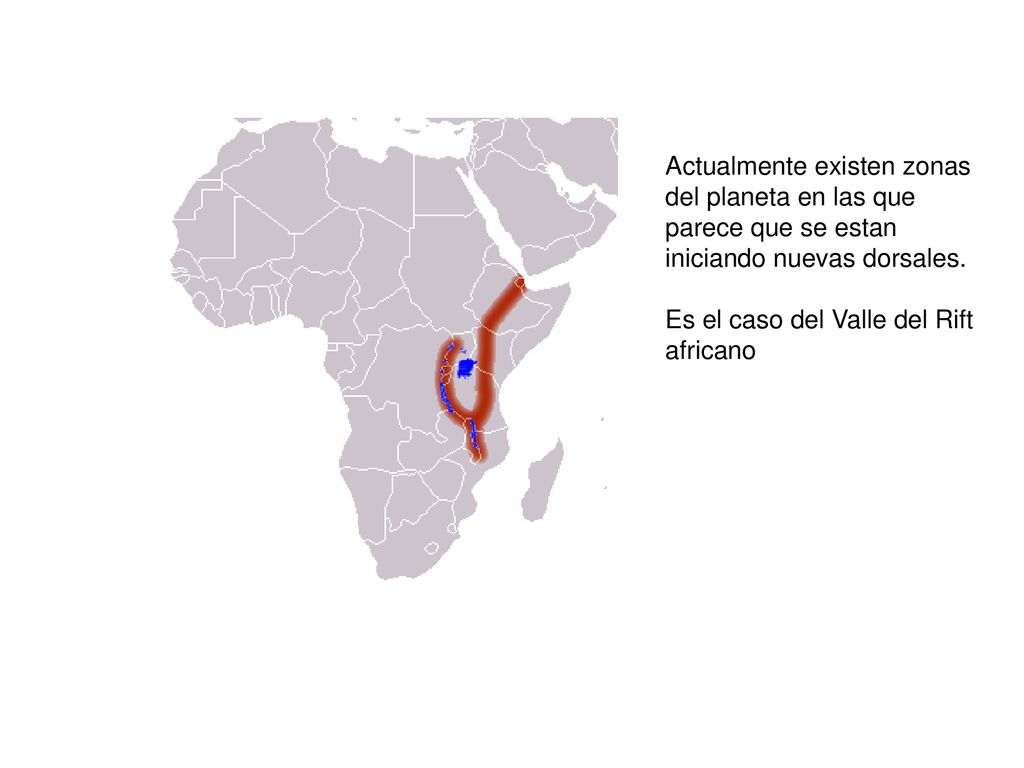 Actualmente existen zonas del planeta en las que parece que se estan iniciando nuevas dorsales.