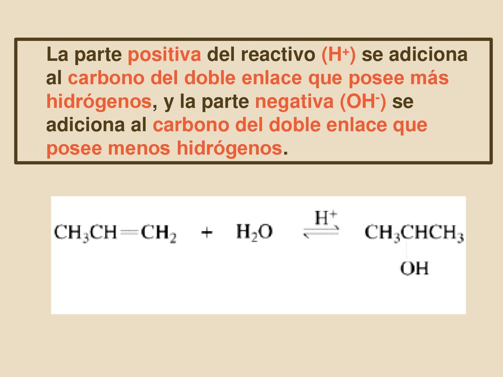 La parte positiva del reactivo (H+) se adiciona al carbono del doble enlace que posee más hidrógenos, y la parte negativa (OH-) se adiciona al carbono del doble enlace que posee menos hidrógenos.
