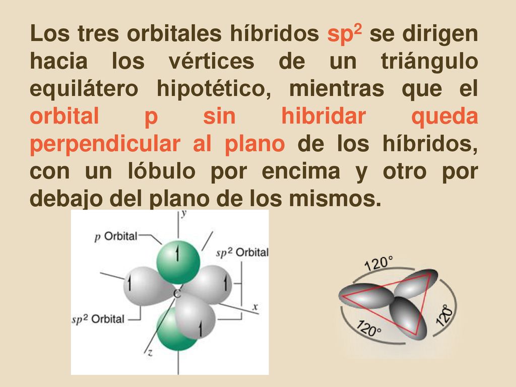 Los tres orbitales híbridos sp2 se dirigen hacia los vértices de un triángulo equilátero hipotético, mientras que el orbital p sin hibridar queda perpendicular al plano de los híbridos, con un lóbulo por encima y otro por debajo del plano de los mismos.
