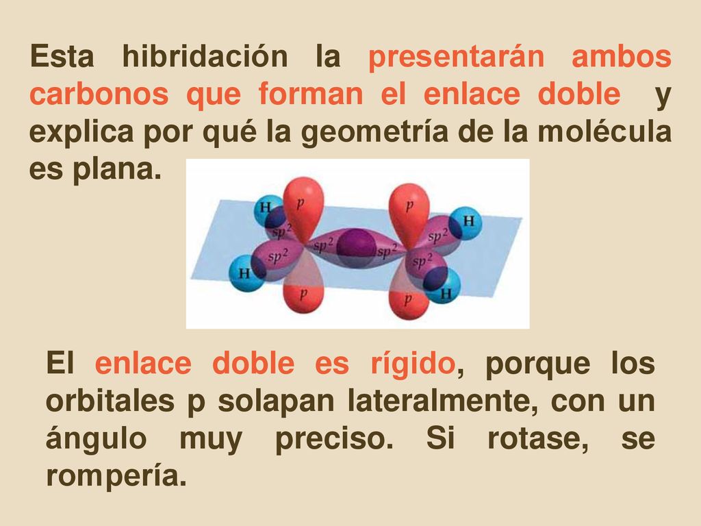 Esta hibridación la presentarán ambos carbonos que forman el enlace doble y explica por qué la geometría de la molécula es plana.