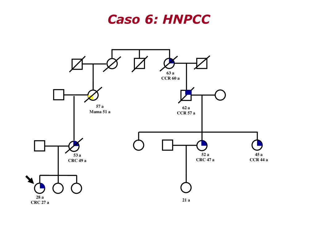 Caso 6: HNPCC 63 a CCR 60 a 57 a Mama 51 a 62 a CCR 57 a 53 a CRC 49 a