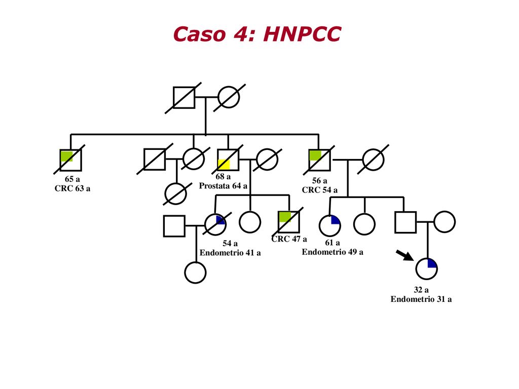 Caso 4: HNPCC 68 a 65 a Prostata 64 a 56 a CRC 63 a CRC 54 a CRC 47 a