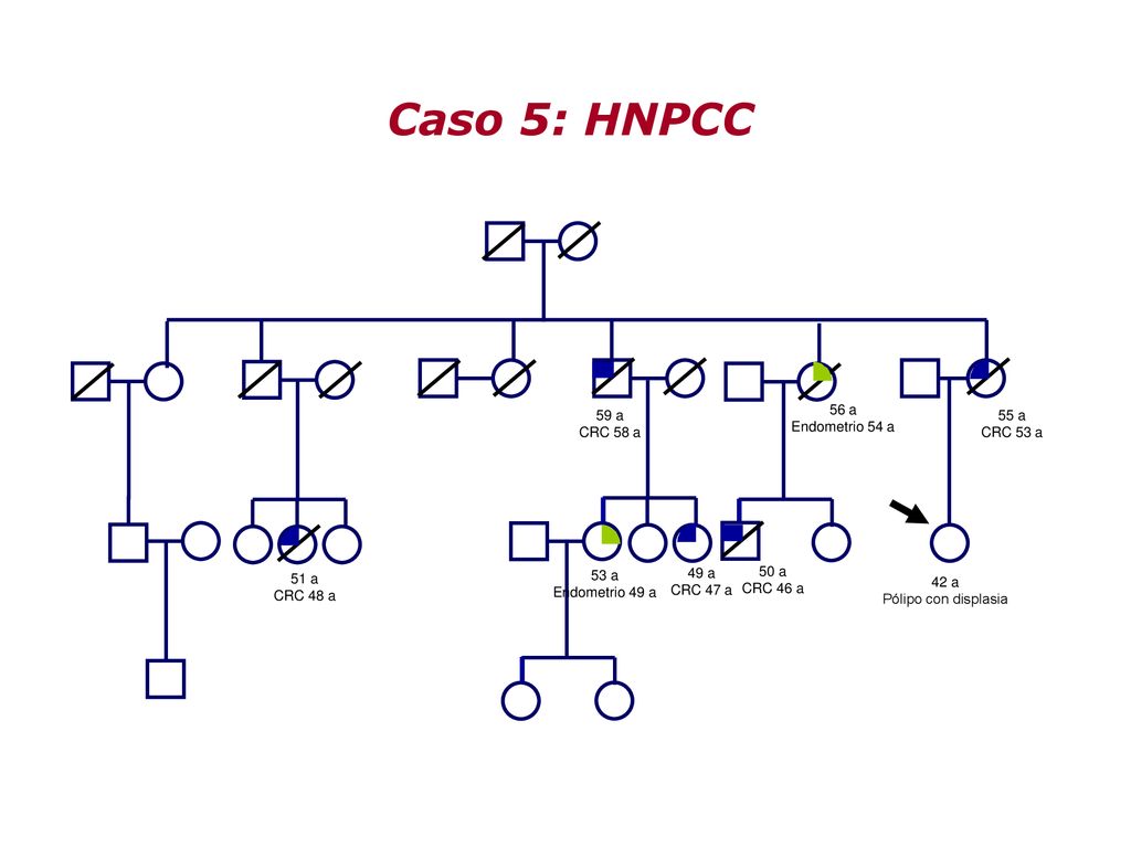 Caso 5: HNPCC 59 a CRC 58 a 56 a Endometrio 54 a 55 a CRC 53 a 50 a