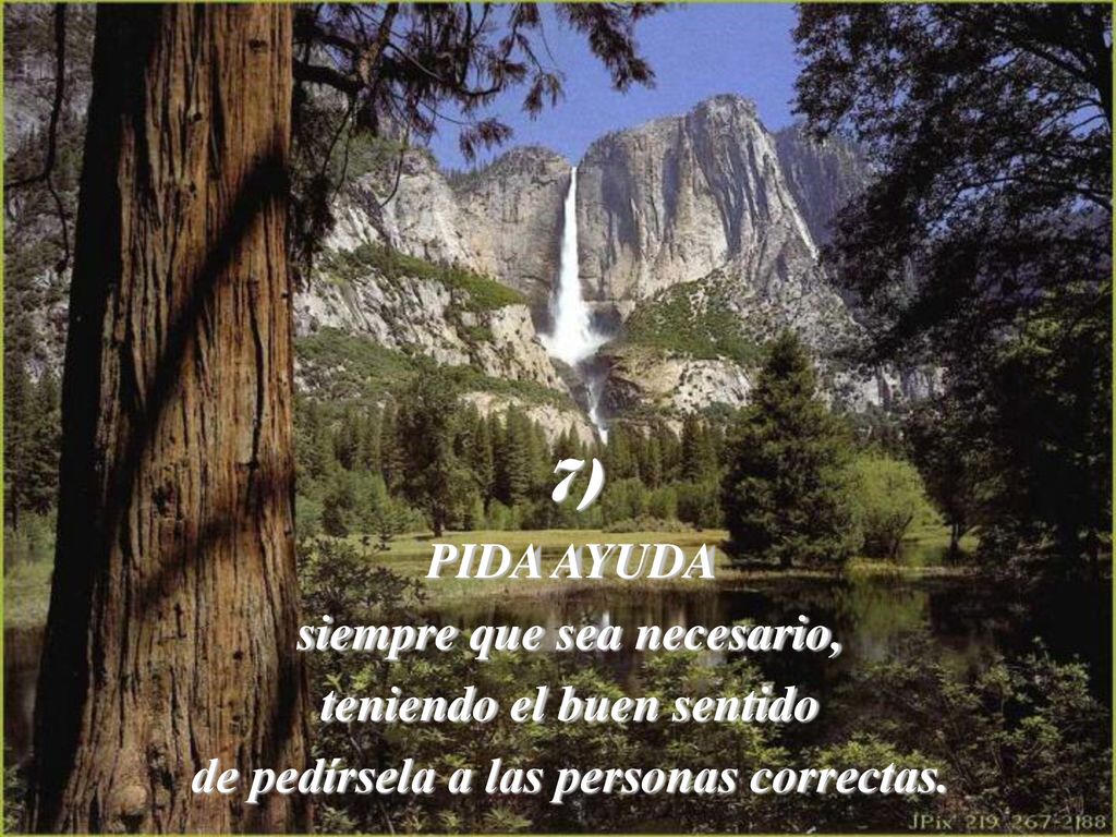 7) PIDA AYUDA siempre que sea necesario, teniendo el buen sentido