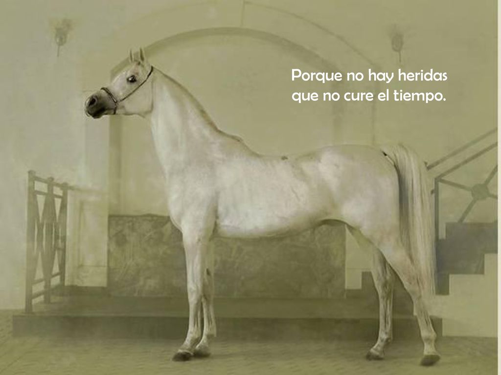 Porque no hay heridas que no cure el tiempo.