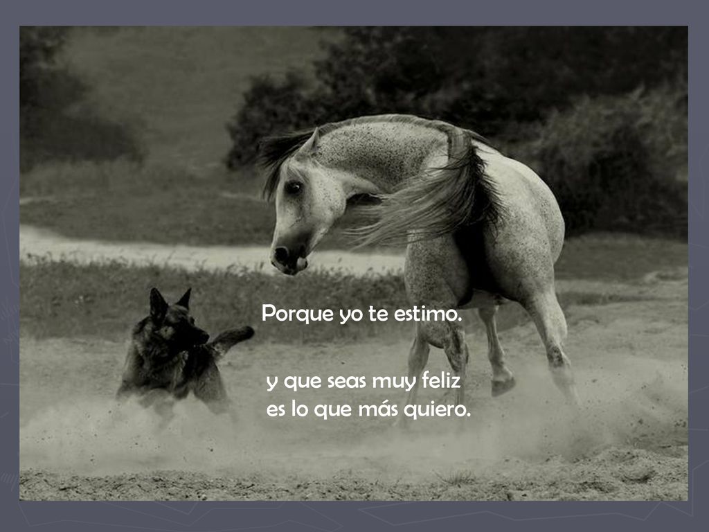 Porque yo te estimo. y que seas muy feliz es lo que más quiero.