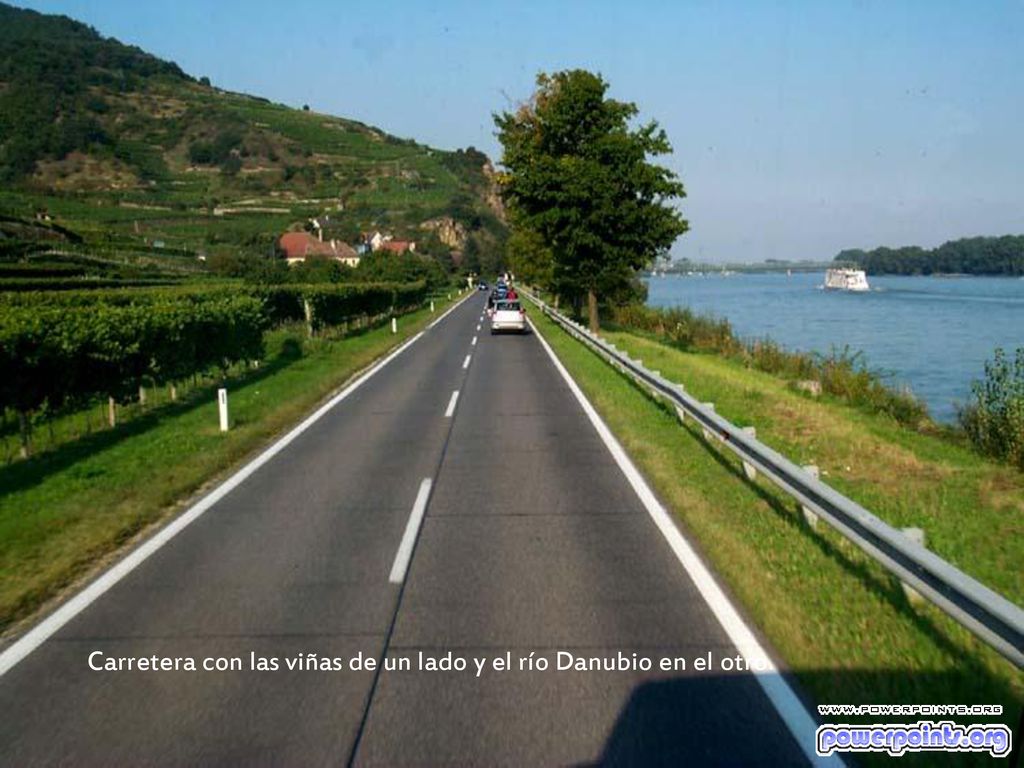 Carretera con las viñas de un lado y el río Danubio en el otro.