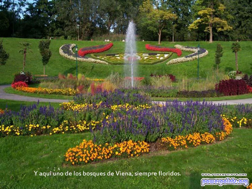 Y aquí uno de los bosques de Viena, siempre floridos.