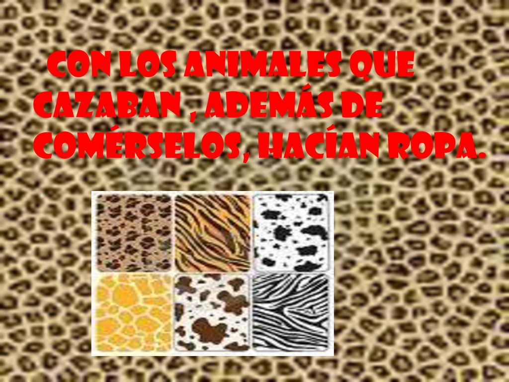 Con los animales que cazaban , además de comérselos, hacían ropa.