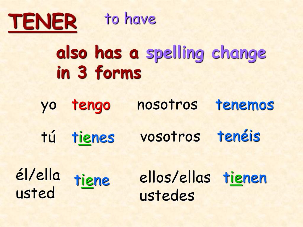 TENER also has a spelling change in 3 forms to have yo tengo nosotros