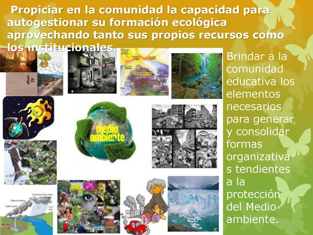 Propiciar en la comunidad la capacidad para autogestionar su formación ecológica aprovechando tanto sus propios recursos como los institucionales.