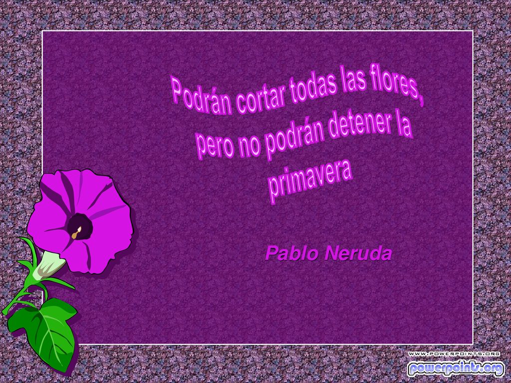 Podrán cortar todas las flores, pero no podrán detener la