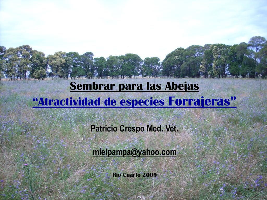 Sembrar para las Abejas Atractividad de especies Forrajeras Patricio Crespo Med. Vet.