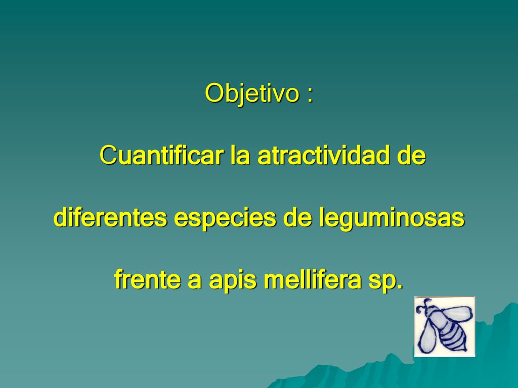Objetivo : Cuantificar la atractividad de diferentes especies de leguminosas frente a apis mellifera sp.