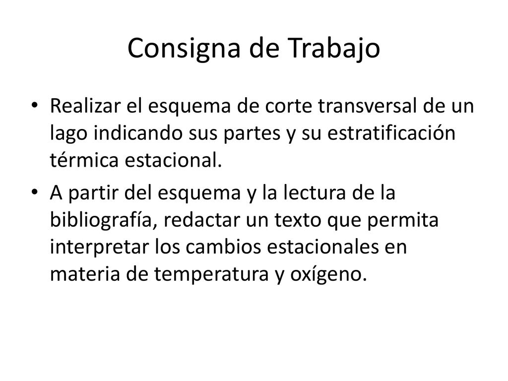 Consigna de Trabajo Realizar el esquema de corte transversal de un lago indicando sus partes y su estratificación térmica estacional.